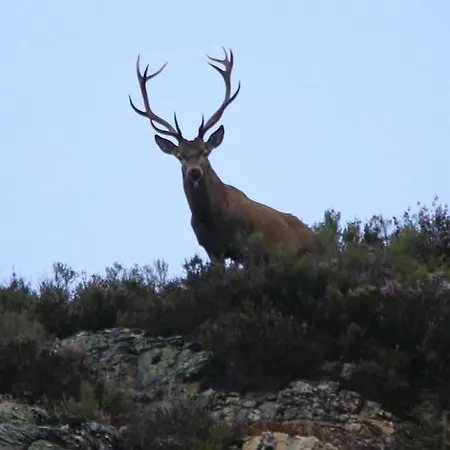 La Vega De Somiedo 2 شقة بولا دي سوميدو