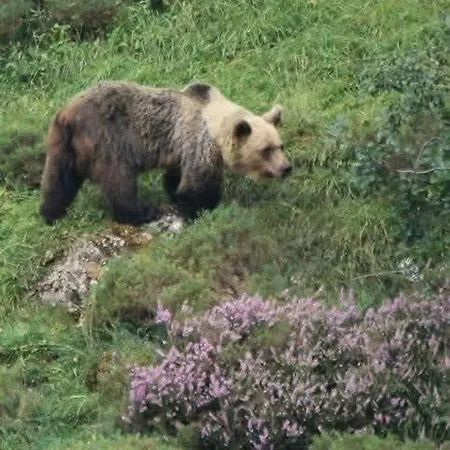 La Vega De Somiedo 2 شقة بولا دي سوميدو